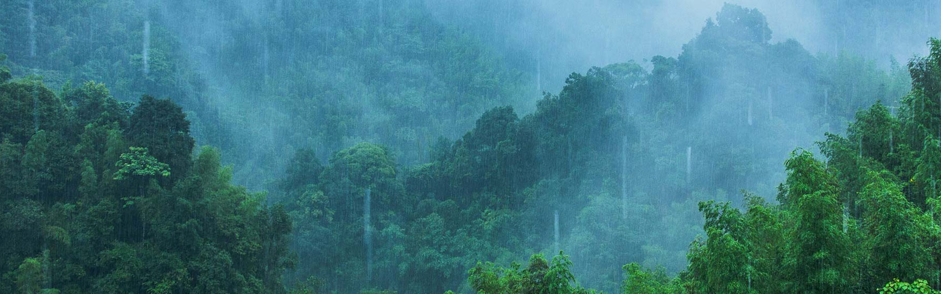 山東斯特萊環(huán)?？萍加邢薰? />
</div>
<div   id=